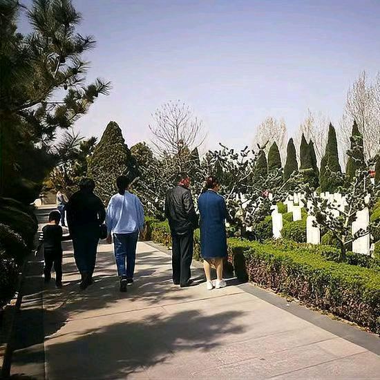 【荣耀中国】清明祭祖先戴建中（江苏）（图3）