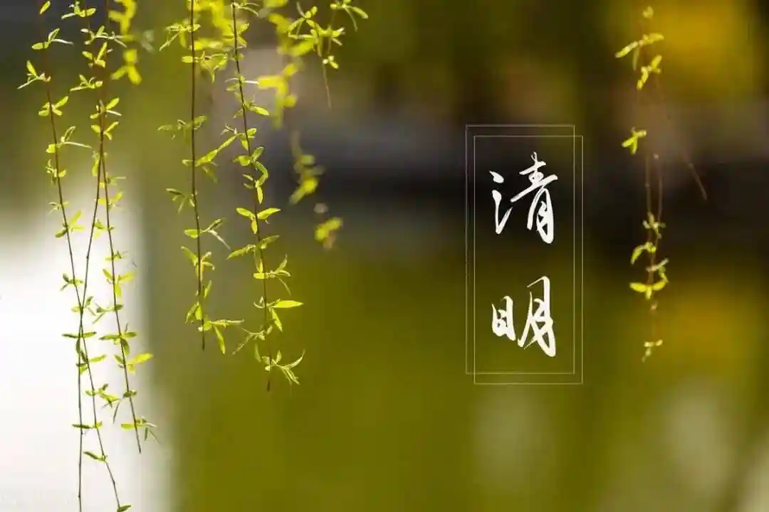 【金榜头条】分享（黑龙江）优秀诗人杨宝林老师《清明时节》五首请欣赏（图4）