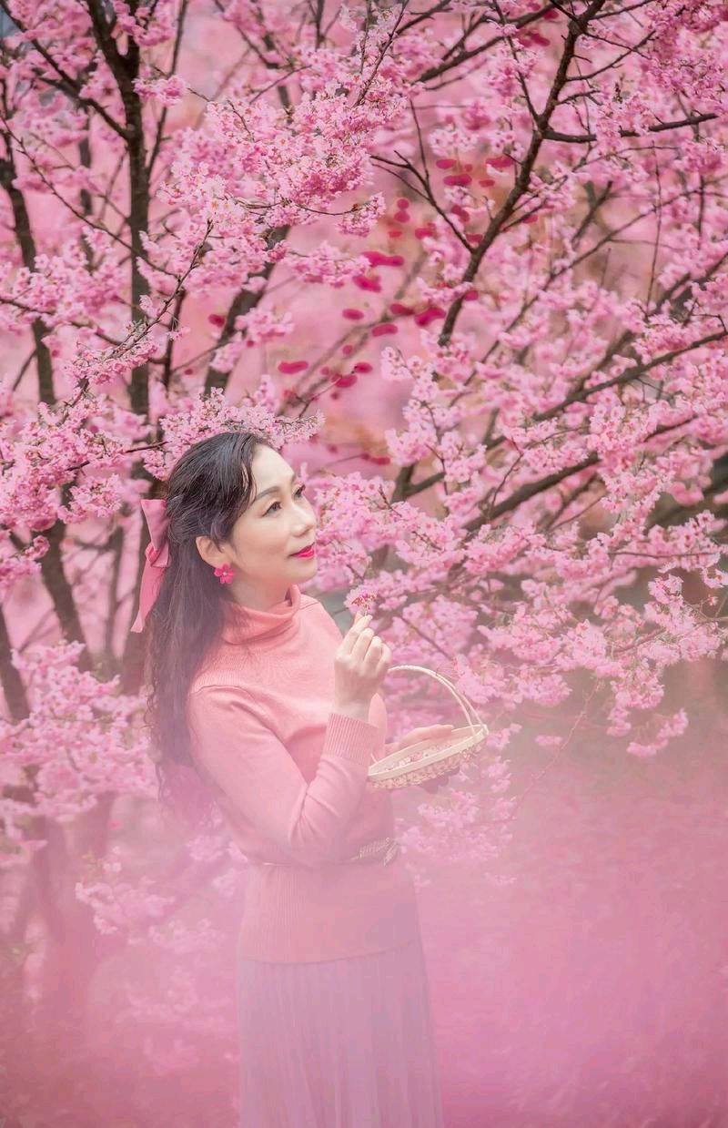 七绝-观桃花～诗||王政（图15）