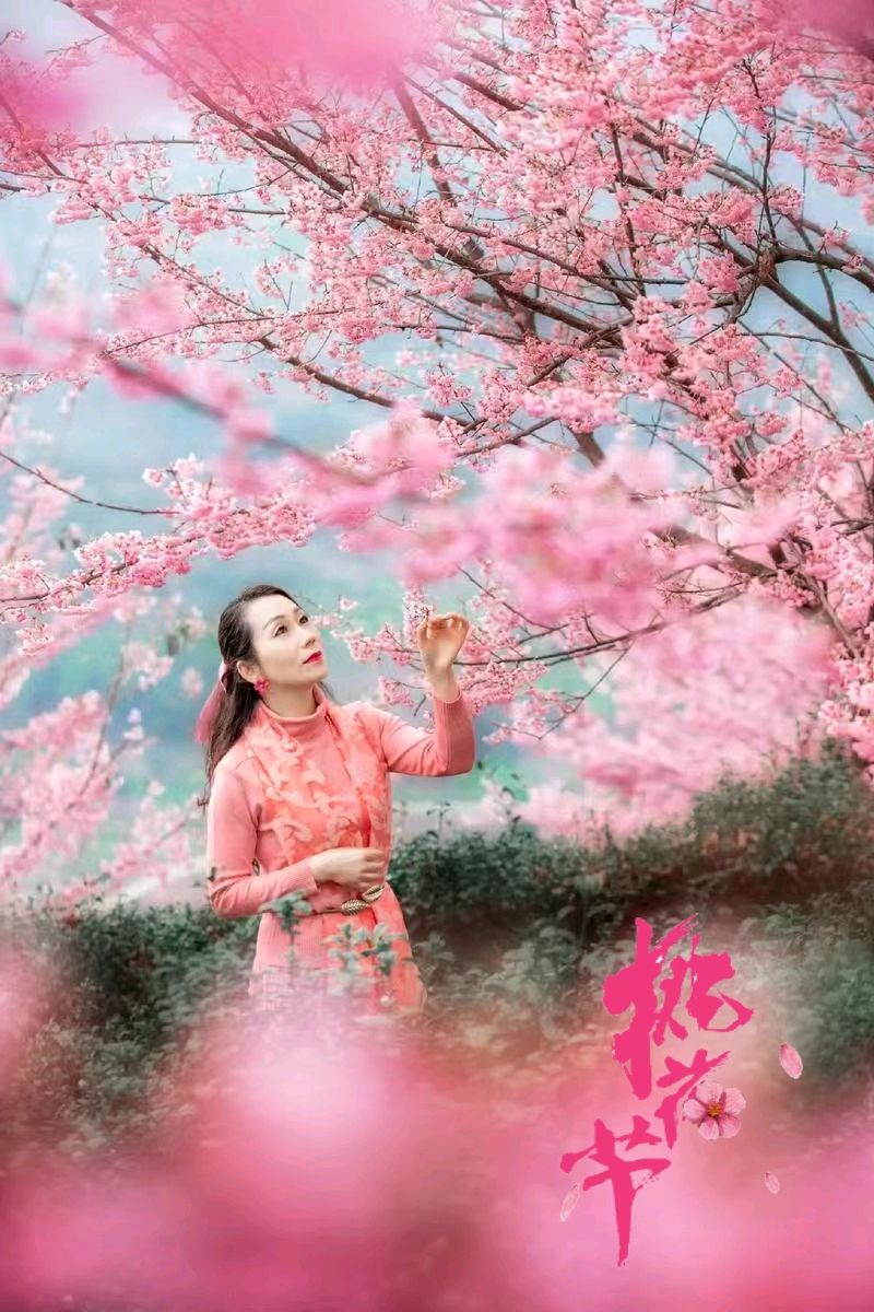 七绝-观桃花～诗||王政（图8）