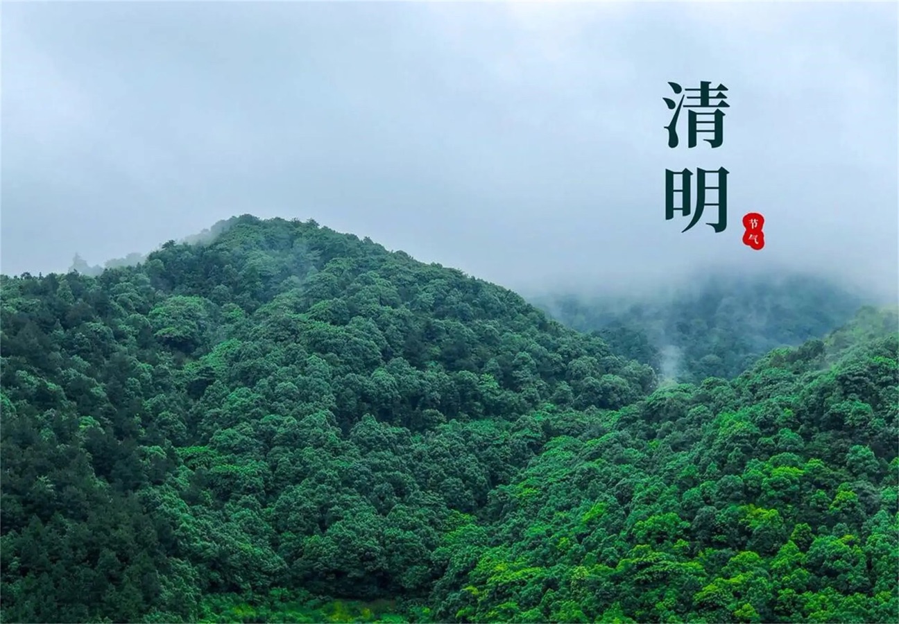 【新诗大观】清明节感怀||文/悦人（图3）