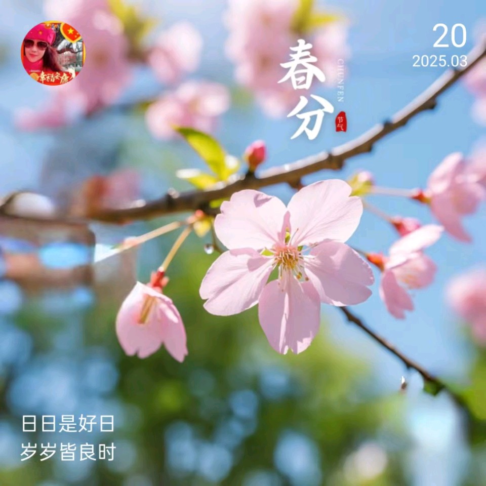 【神州源流诗苑】第1324期优秀近体诗周刊(图3)