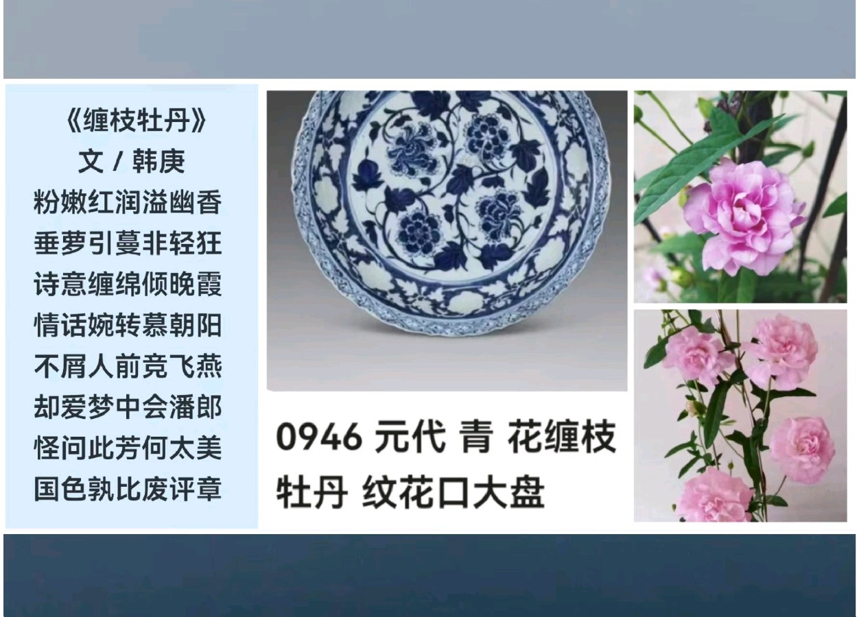 韩庚的《缠枝牡丹》