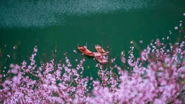 与君桃花岛（甘会文创新首尾同字诗体）（图2）