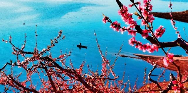 与君桃花岛（甘会文创新首尾同字诗体）（图5）
