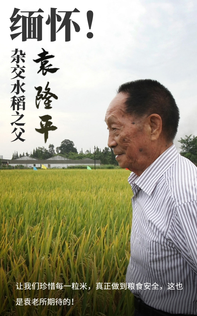 【新山东文学社】《禾荫下的梦想》作者/云逍遥 主播/墨兰(图4)