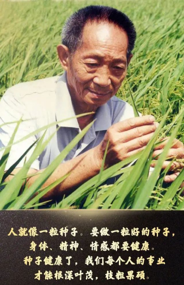【新山东文学社】《禾荫下的梦想》作者/云逍遥 主播/墨兰(图5)