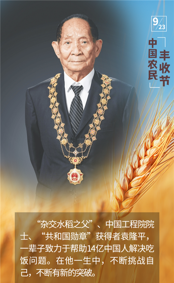 【新山东文学社】《禾荫下的梦想》作者/云逍遥 主播/墨兰(图6)