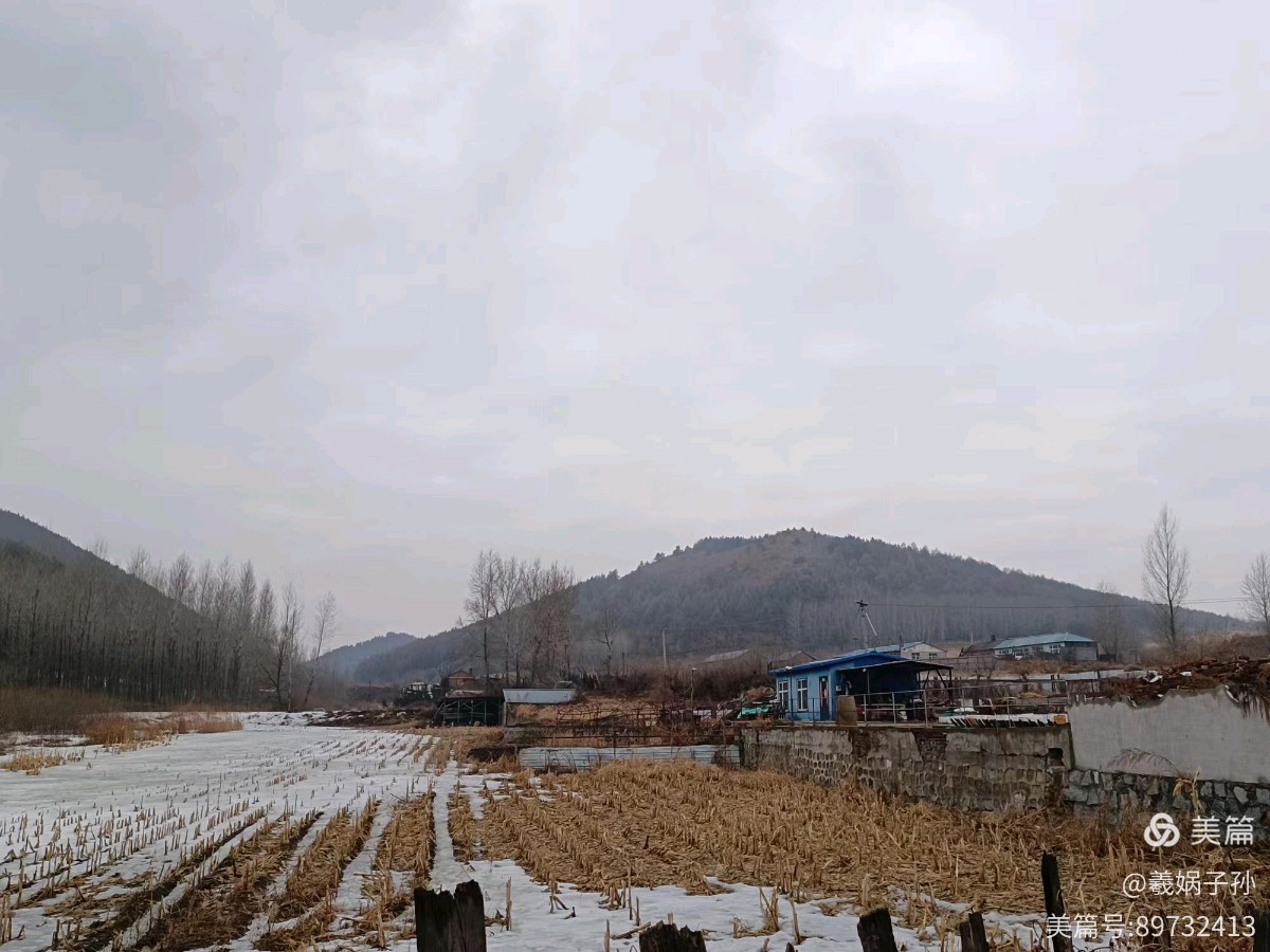 五言排律十四行诗 清明上河图/作者：东隅塞翁（图4）