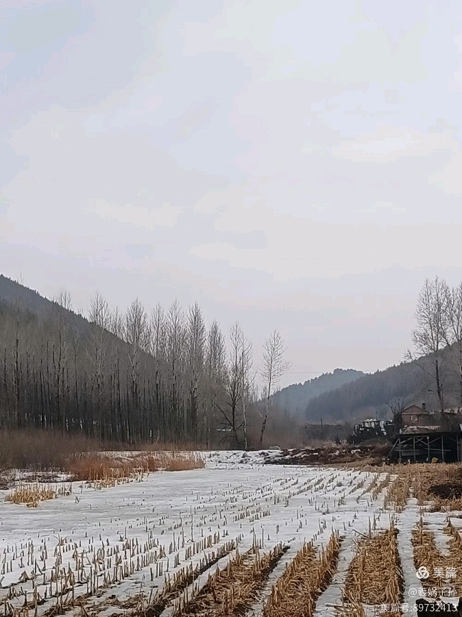 五言排律十四行诗 清明上河图/作者：东隅塞翁（图3）