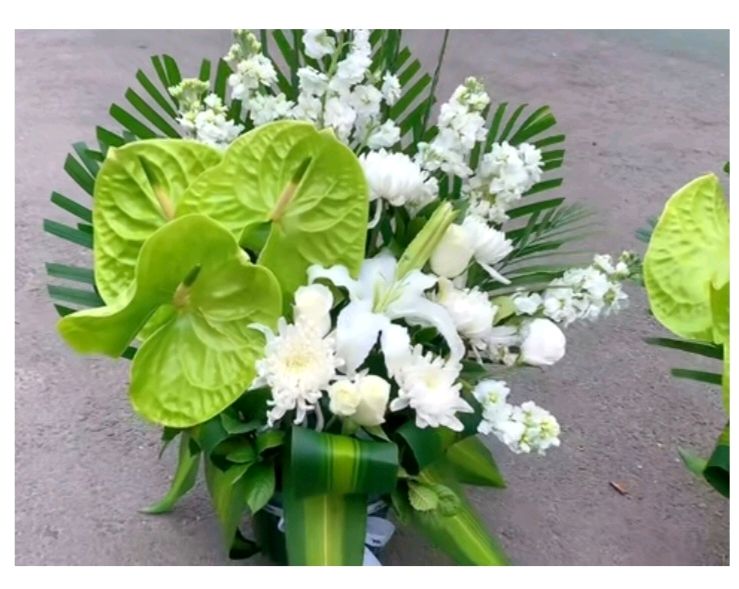 请明节/感恩父母（图6）