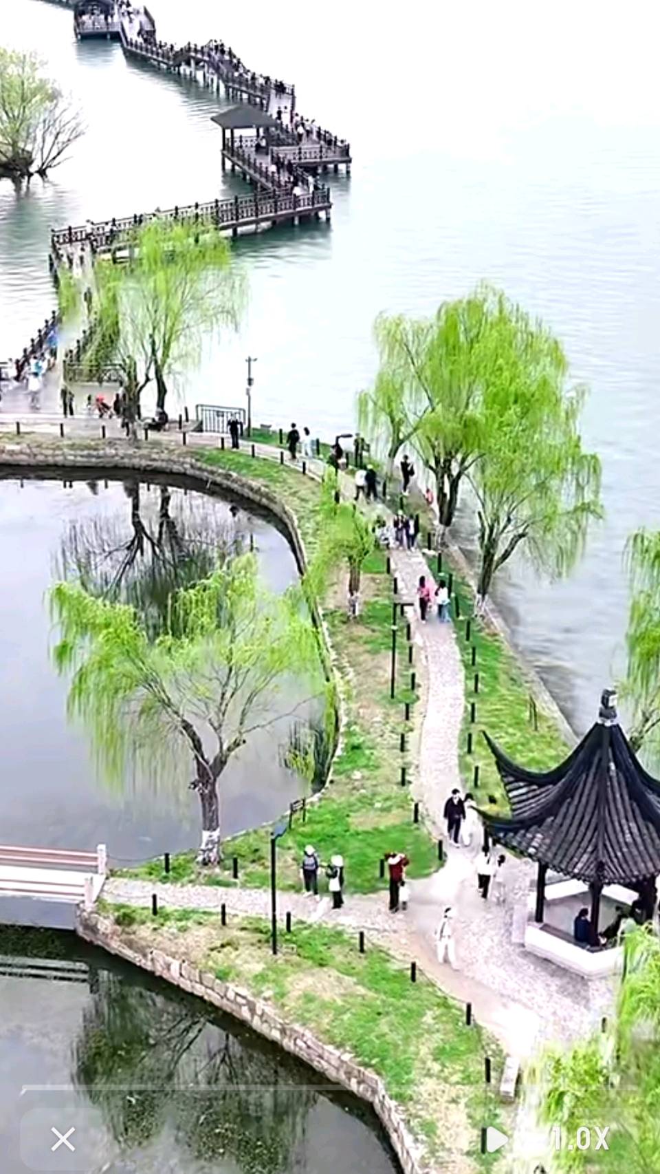 《风入松 • 清明思母》作者/吴云钦（图4）