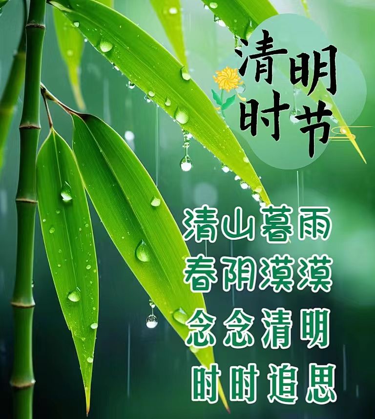 鹧鸪天·清明文/青山新雨（图4）