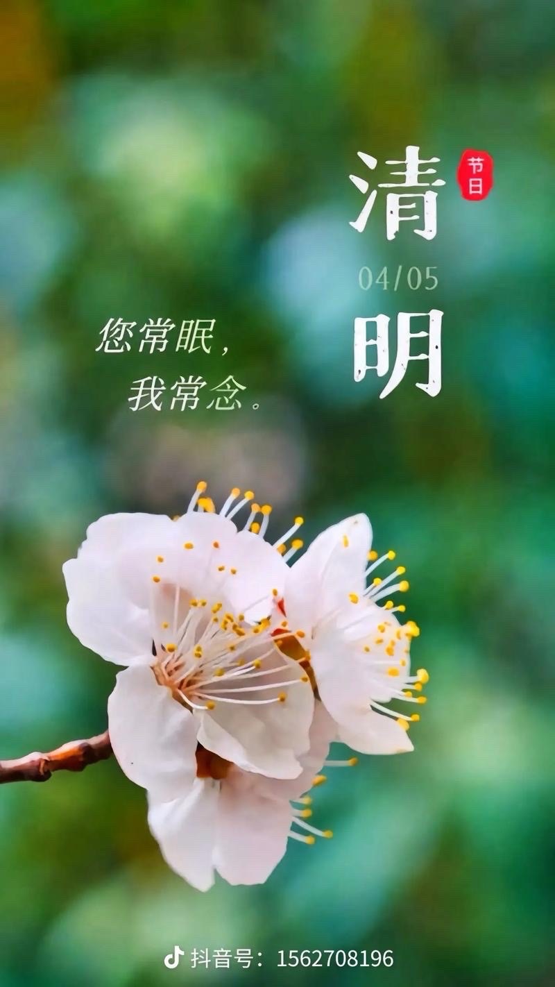 清明节，思念母亲（外一首）：作者||马喜军｜海外头条（图5）