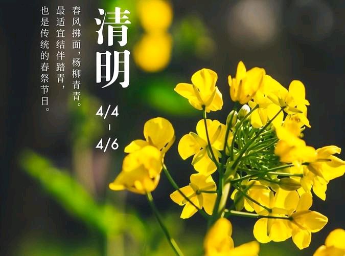 《哭绪生兄》【诗词赏析】作者:韦民/陕西宝鸡（图2）