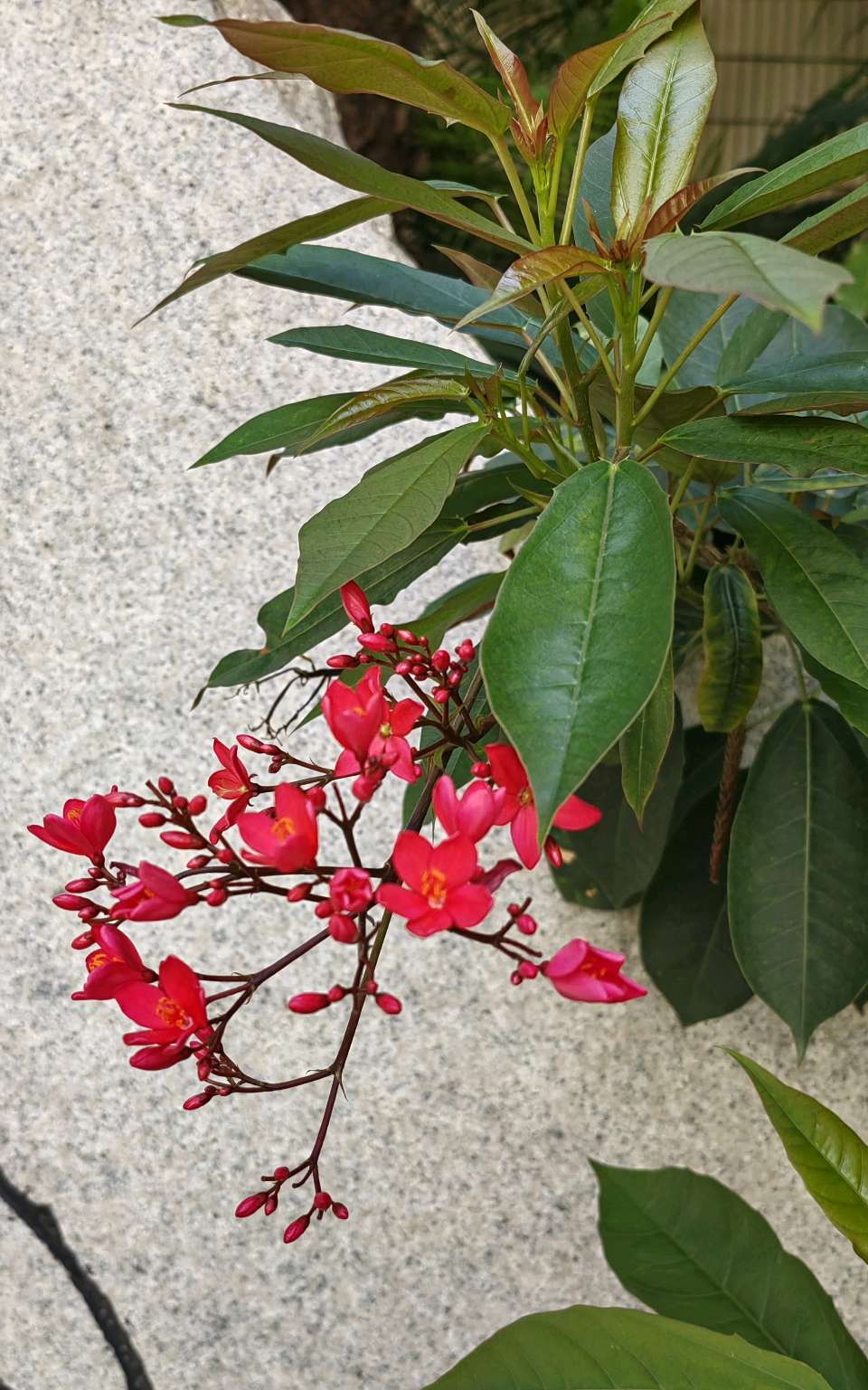 七律 故园夕（外一首）文/江冲