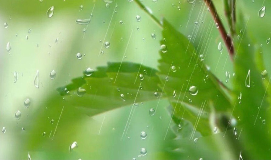 【新诗大观】雨水与云的对话||文/老波（图3）