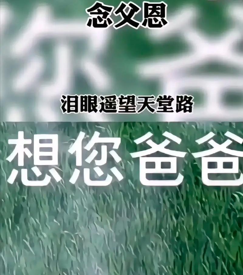 布衣//崔晓辉诵读《清明 . 对话父亲》作者：布衣（图5）