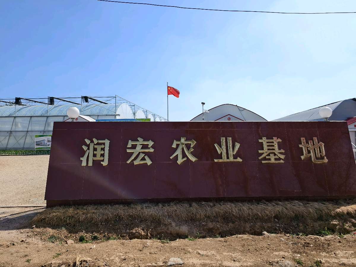新闻人物专访“科技兴农”新农人曹子榆——山东寿光（图5）