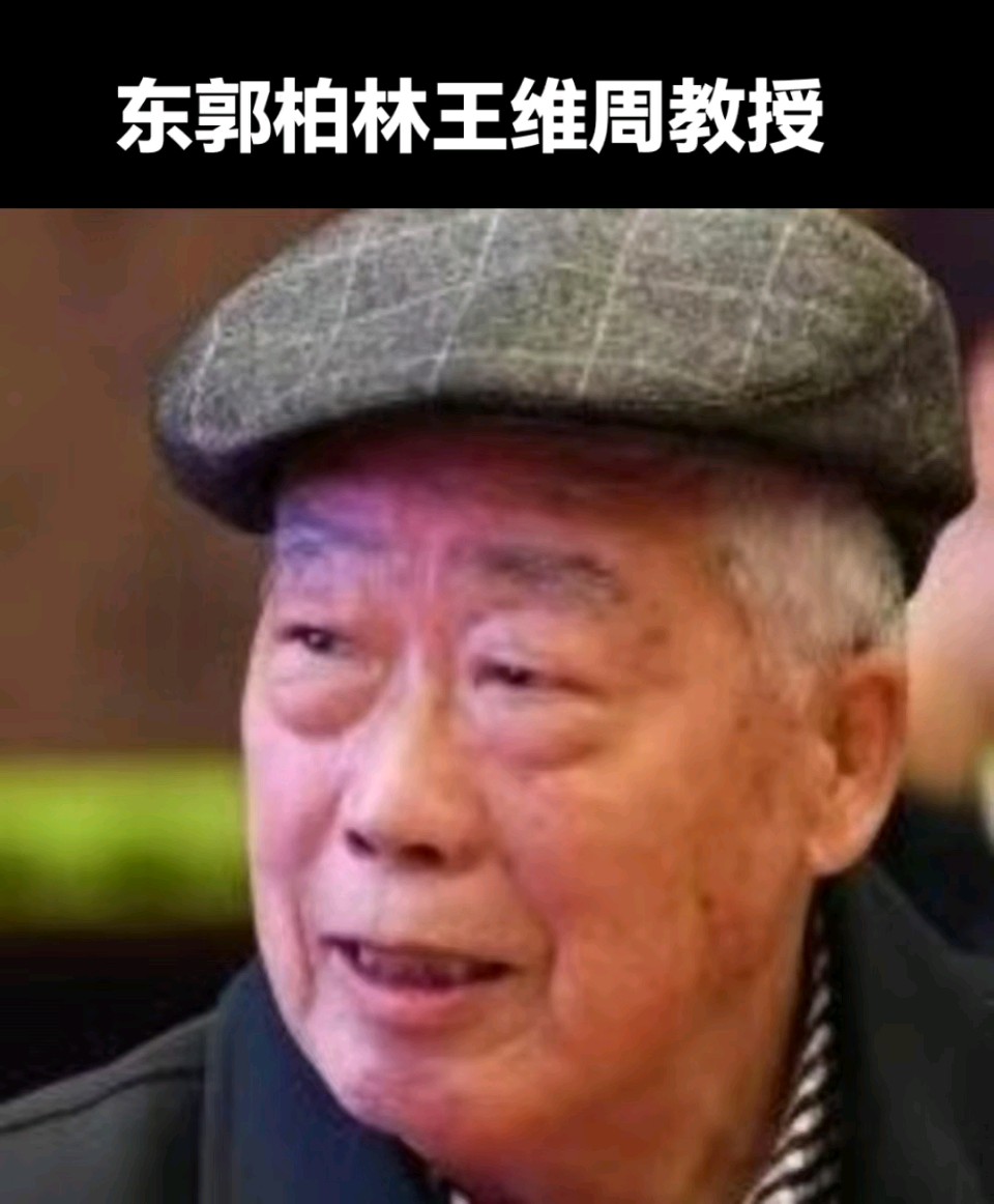 东郭柏林（王维周∥乙巳清明 三首（图3）