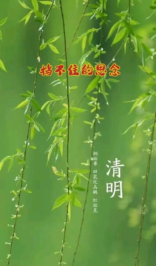 【清明诗词丗九首】:作者||曾振华|海外头条(图7)