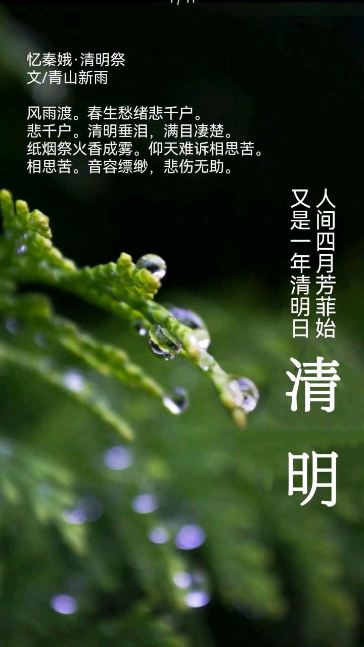 忆秦娥·清明祭文/图/青山新雨一一一（图3）