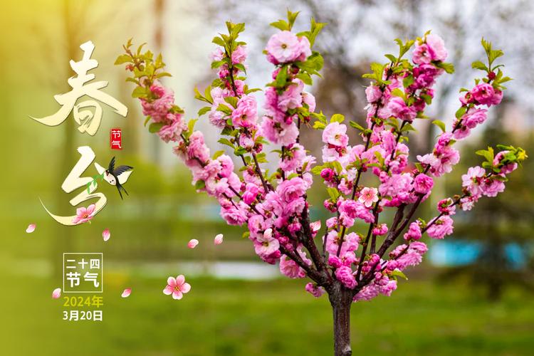 【齐鲁风文学】分享（山东）周玉欣七律三首请关注（图5）