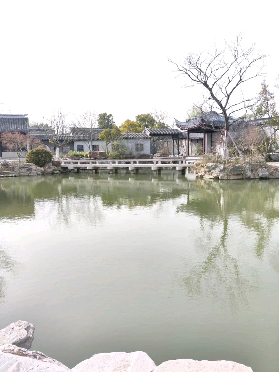 【荣耀中国】漫步南郊有感顾晓明（江苏盐城)（图4）