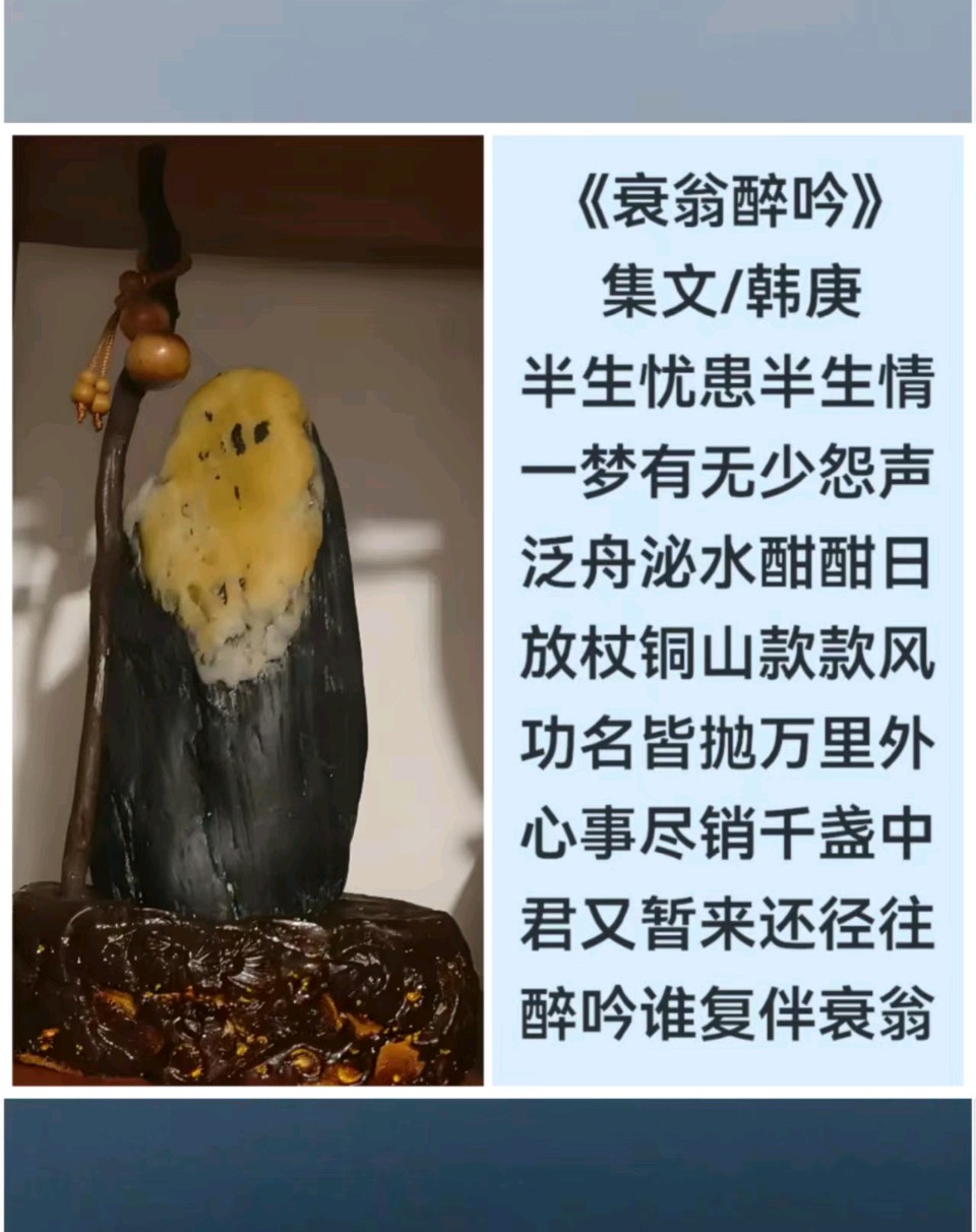韩庚的《衰翁醉吟》