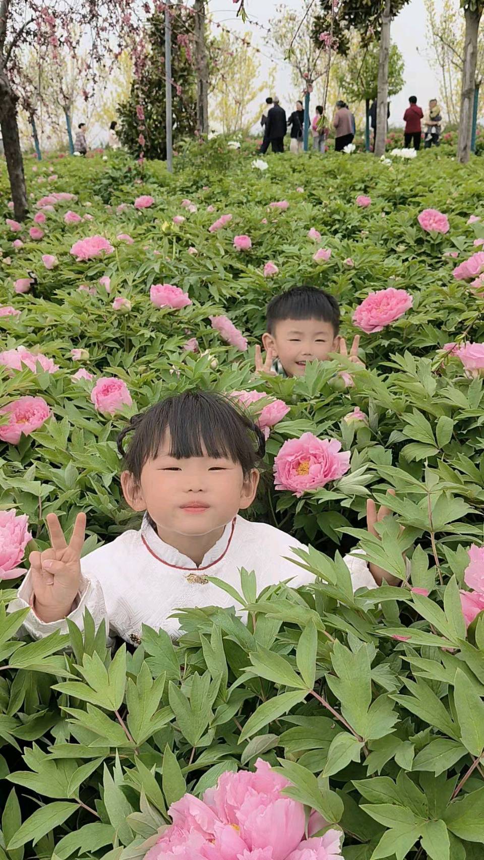孟罗毅携子女赏牡丹 原作/梁立锋（图5）