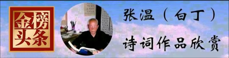 获年度诗词创作优秀奖诗人张温(白丁)现代诗专辑/【2025第111期】（图6）