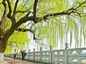 联机全球发布牟福香《精彩晨语》（图53）