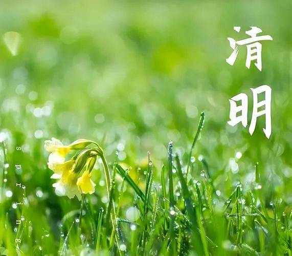 【神州源流诗苑】第1327期优秀近体诗周刊(图10)