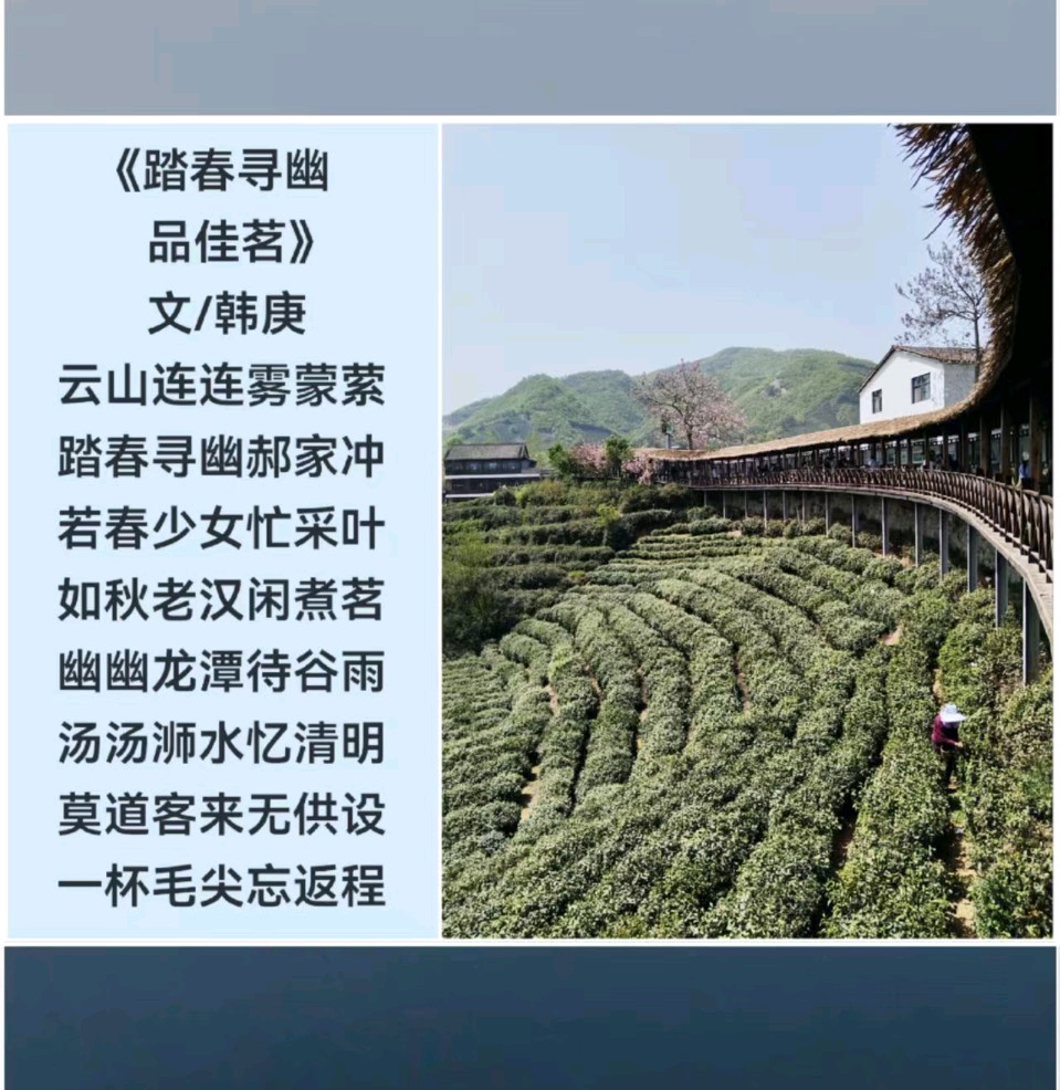 韩庚的《踏春寻幽品佳茗》