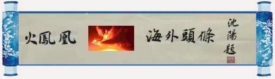 婉羽与飞星传恨联袂诗｜海外头条（图4）