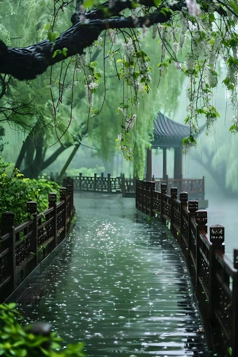 【明心文学】张自云/诗词三首 主播/薇薇（图3）