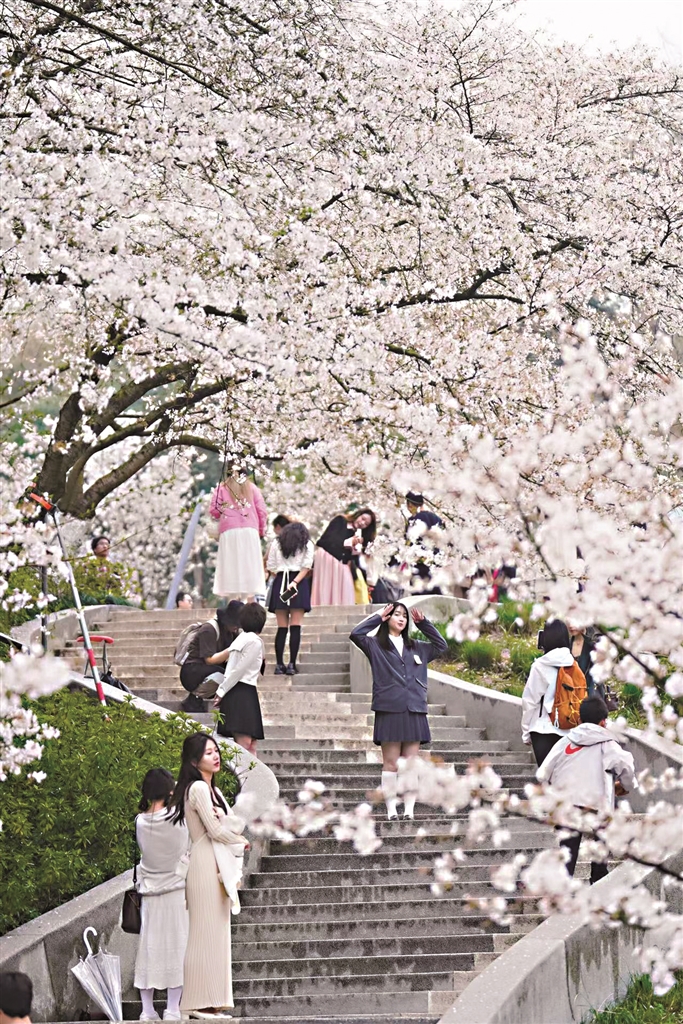 【新山东文学社】《四月 鸿雁》作者/陈铠 主播/竹林听雨(图5)