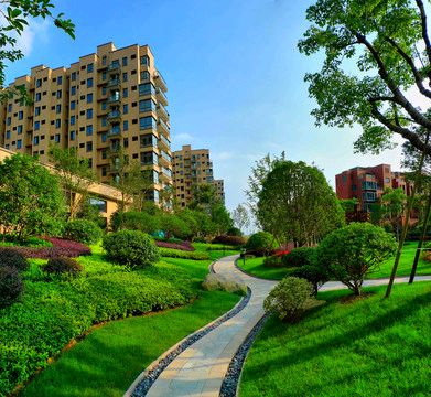 【荣耀中国】春天的小巷文，秋之韵（图2）