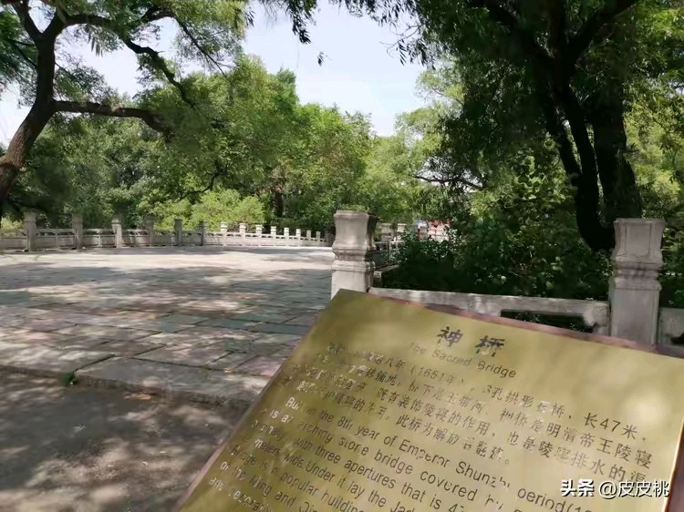 《七律，昭陵早行》作者：郭小林 [中国现代诗歌文化传媒推荐]（图6）