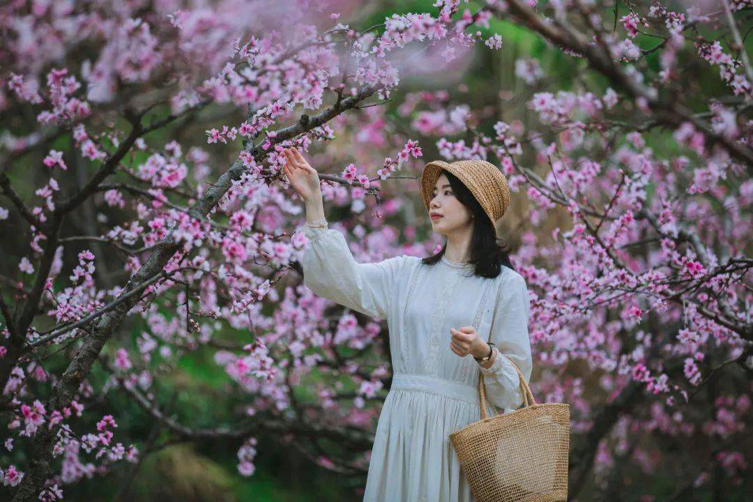 购房波折中的温情之旅(散文)文/高秀亭