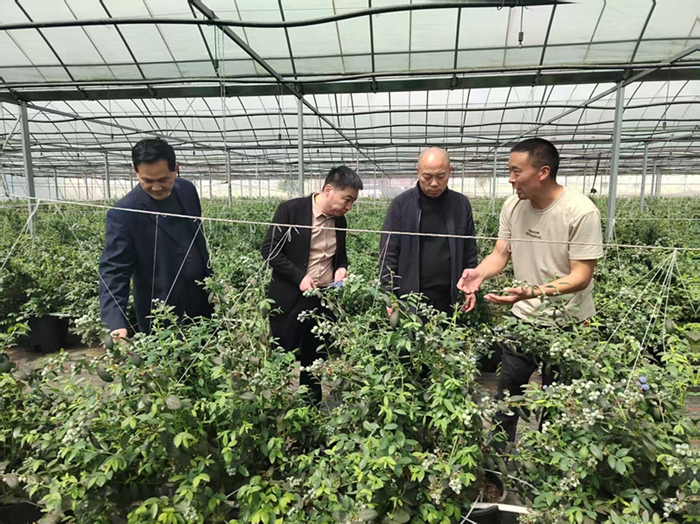 微信图片_20250412182737_副本 微信图片_20250412182737_副本