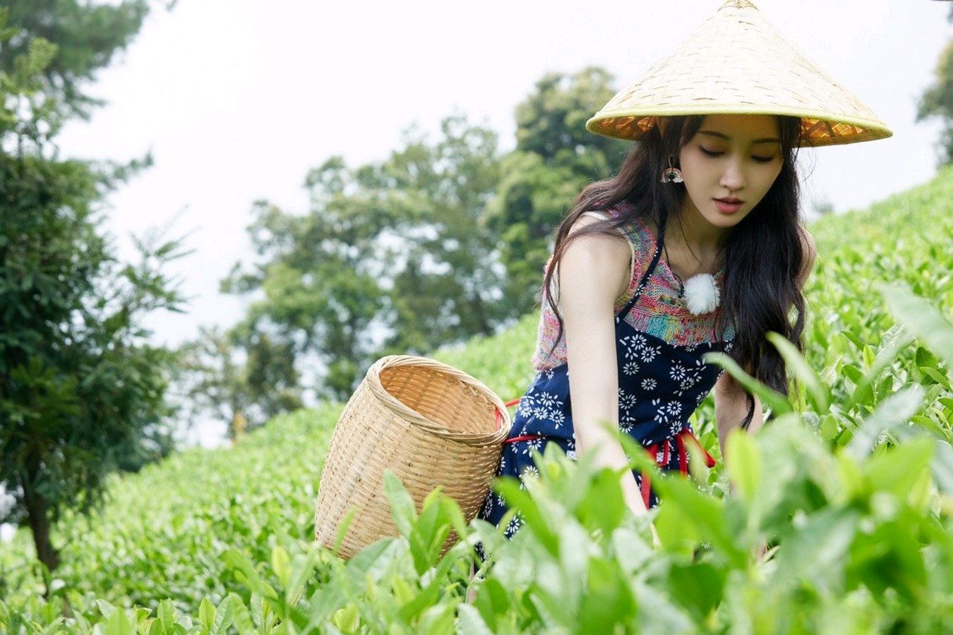 林金尧诗稿三则《江南诗絮文化中心》（图3）