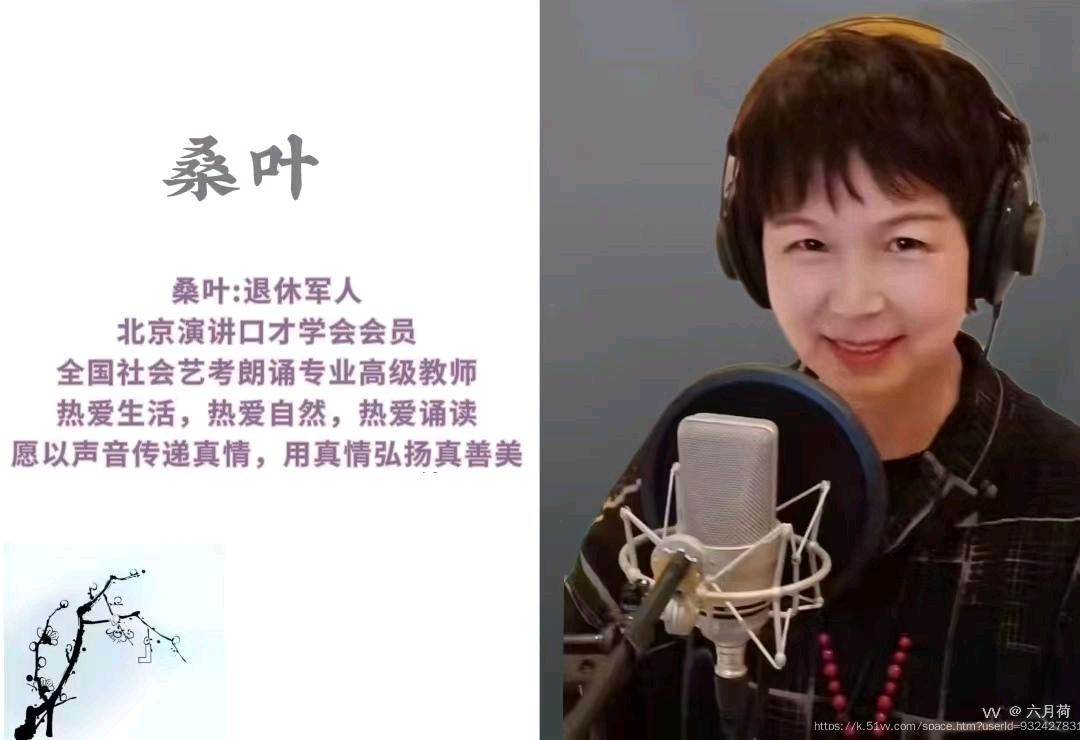 聆听 ‖ 六月荷教授原创作品《清明雨》朗诵/桑叶（图3）