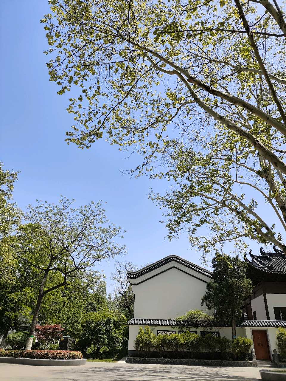 聆听 ‖ 老马朗诵《老家的老屋》作者/常志敏（图6）