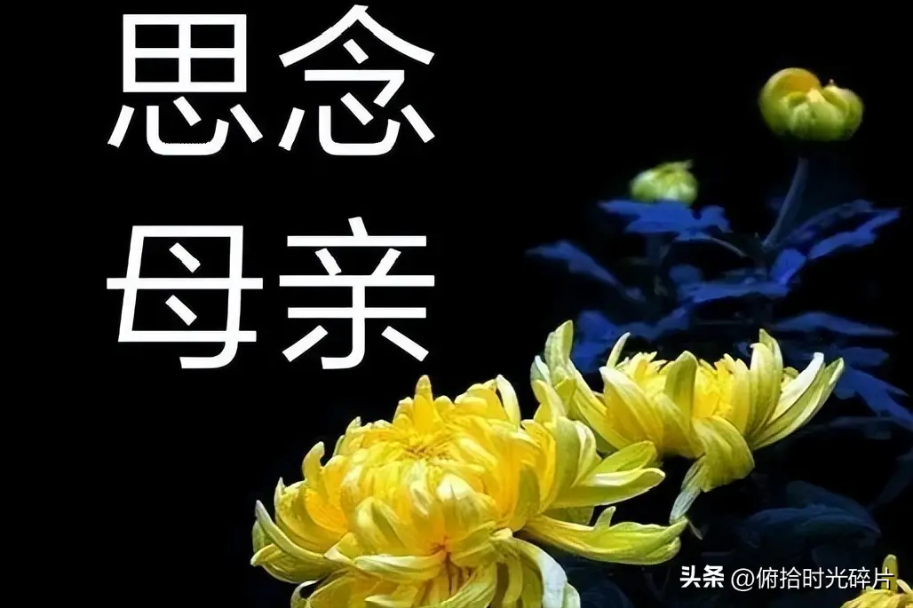 《现代诗人回泉山人现代诗词二首》作者：張延福 [中国现代诗歌文化传媒推荐]（图7）