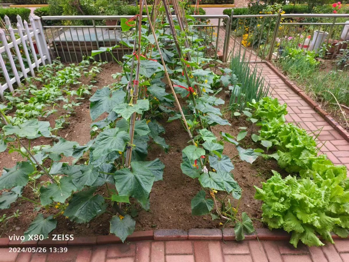 王福中抒怀诗十首(图8)