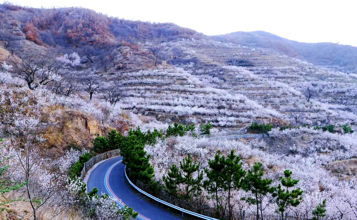 王福中抒怀诗十首(图3)