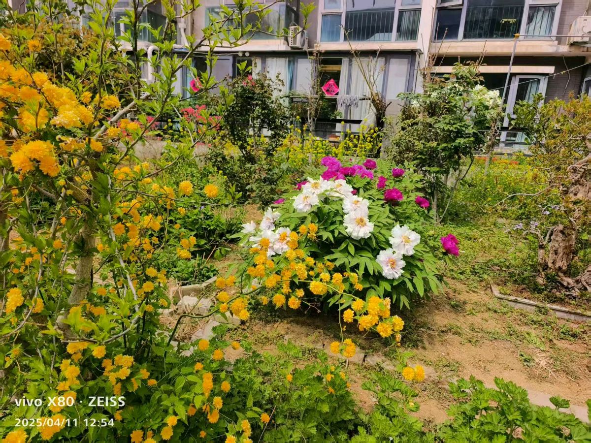 王福中抒怀诗十首（图11）