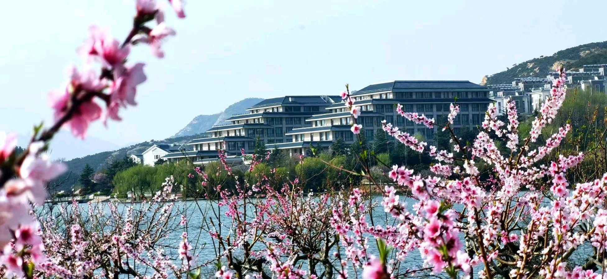 王福中抒怀诗十首(图15)