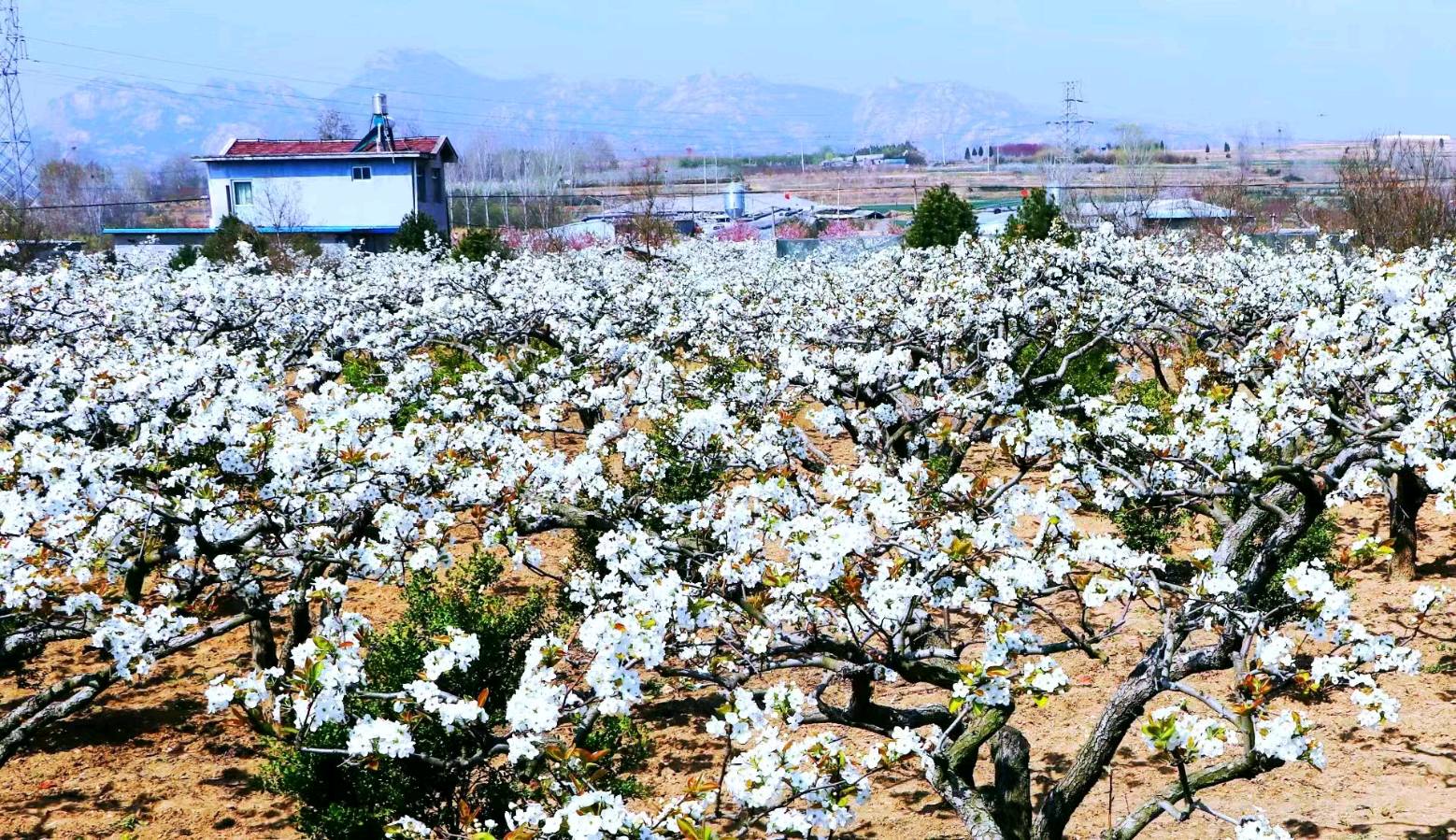 王福中抒怀诗十首(图13)